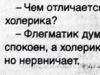 Кто такой флегматик: описание темперамента Кто такой флегматик: описание темперамента